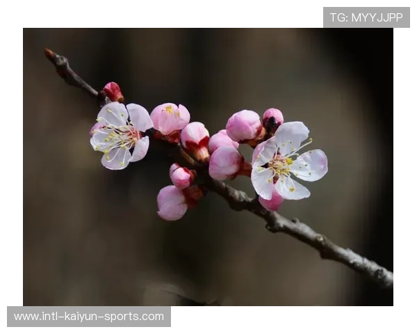 备战9月五大联赛 开云教你抓住转会窗口爆冷盘口漏洞